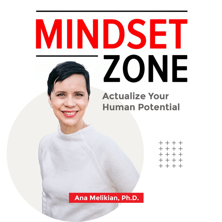 Mindset Zone audiobook cover