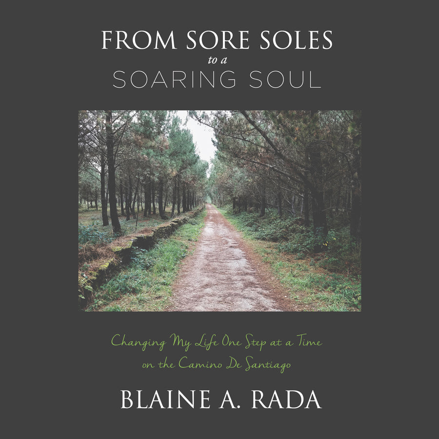 From Sore Soles to a Soaring Soul audiobook cover
