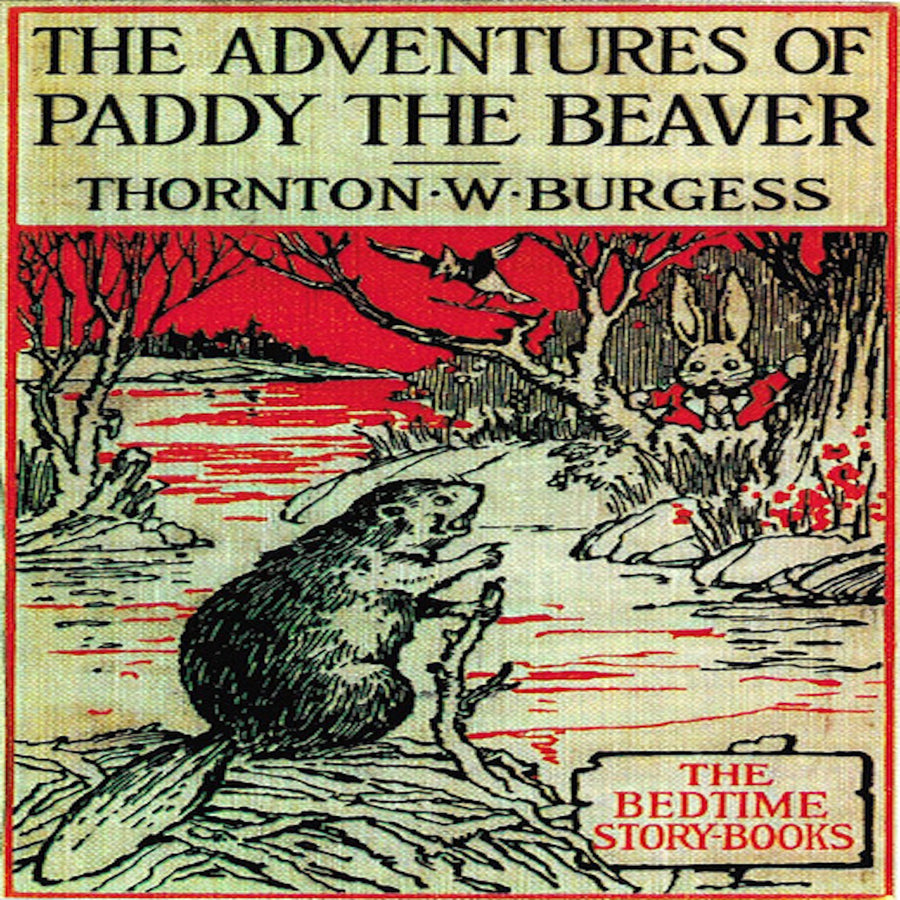 The Adventures of Paddy the Beaver audiobook cover