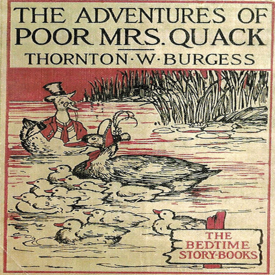 The Adventures of Poor Mrs. Quack audiobook cover