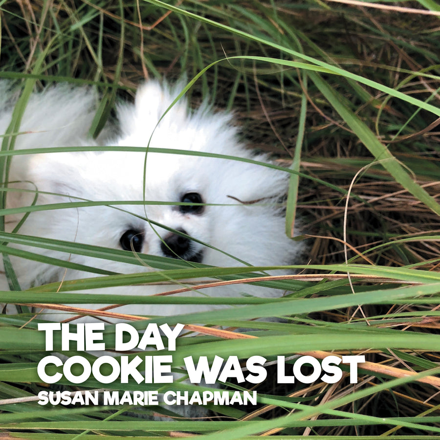 The Day Cookie Was Lost audiobook cover