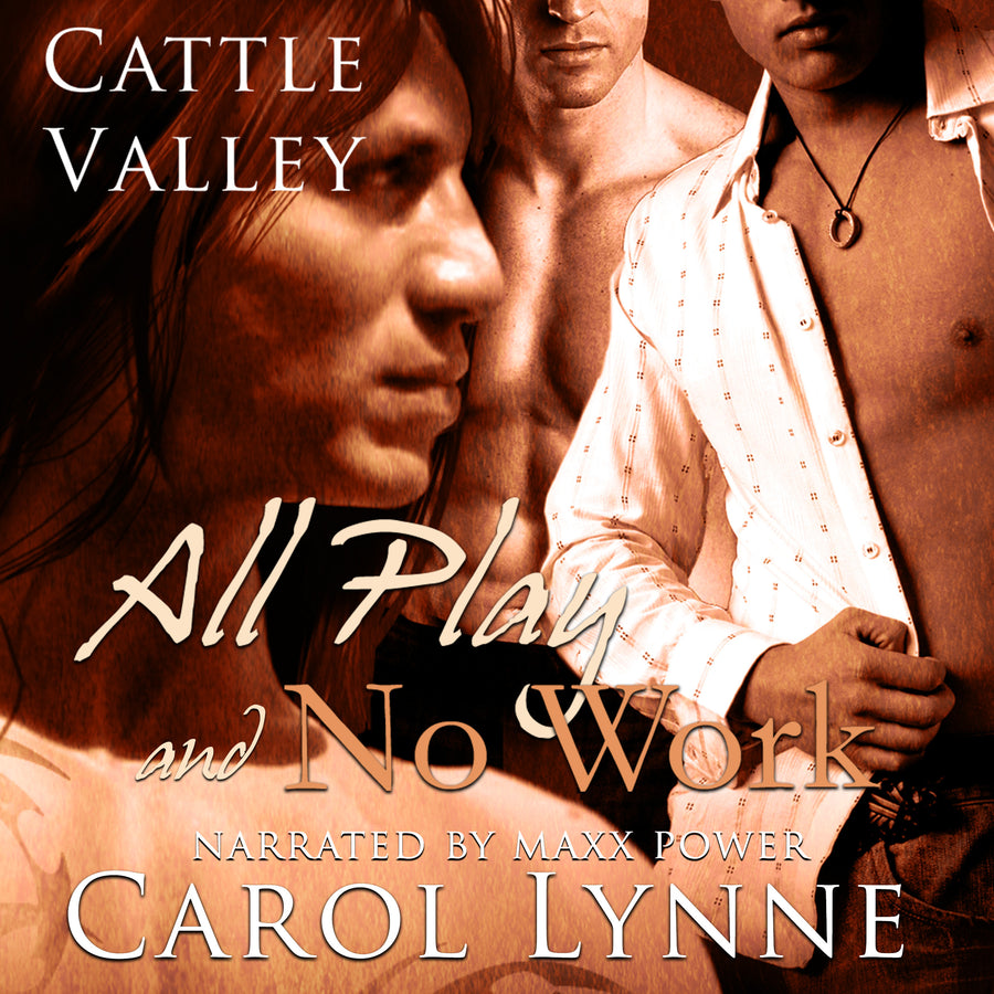 All Play and No Work audiobook cover