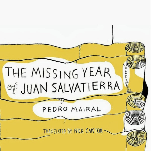 The Missing Year of Juan Salvatierra: A Novel