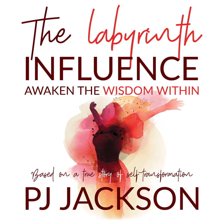 The Labyrinth Influence audiobook cover