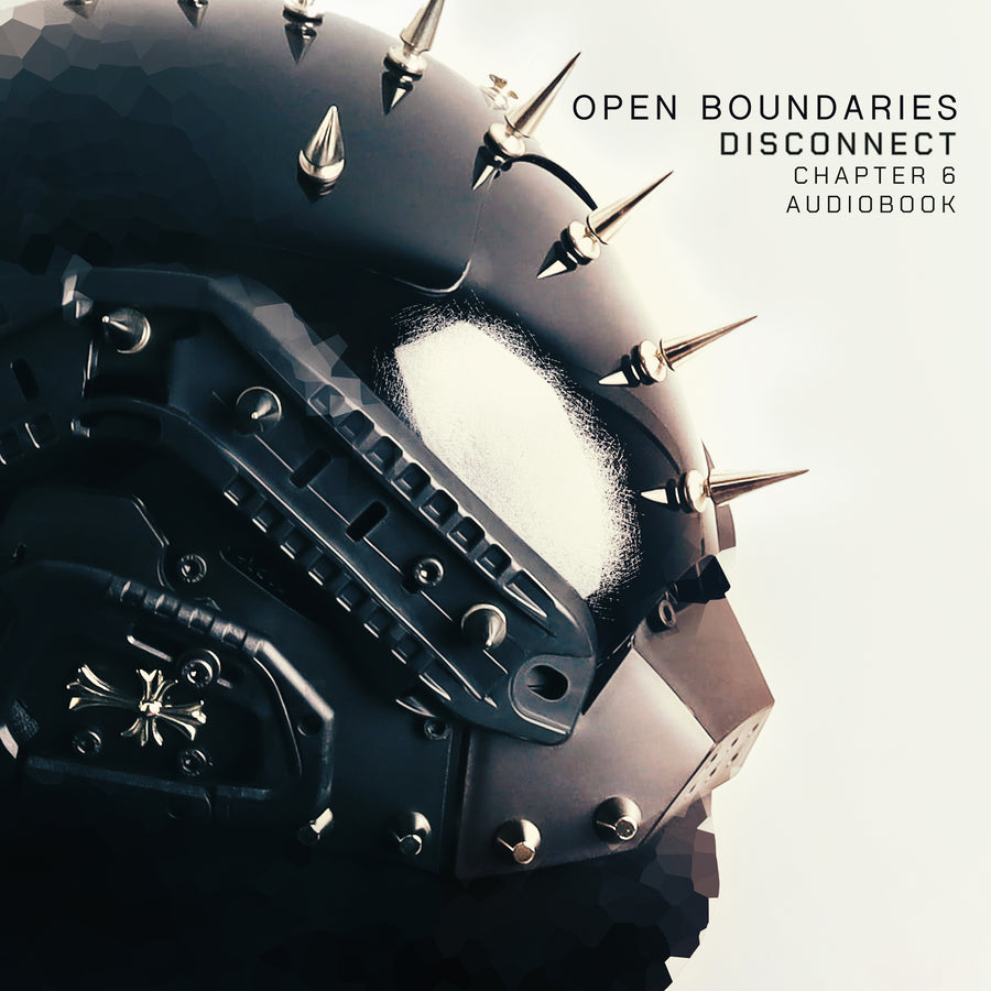 Disconnect - Chapter 6 audiobook cover