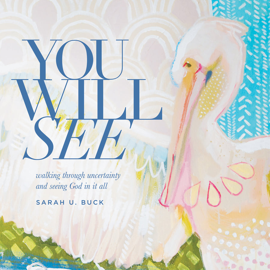 You Will See audiobook cover