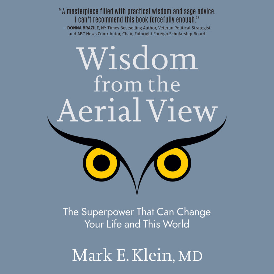 Wisdom from the Aerial View audiobook cover