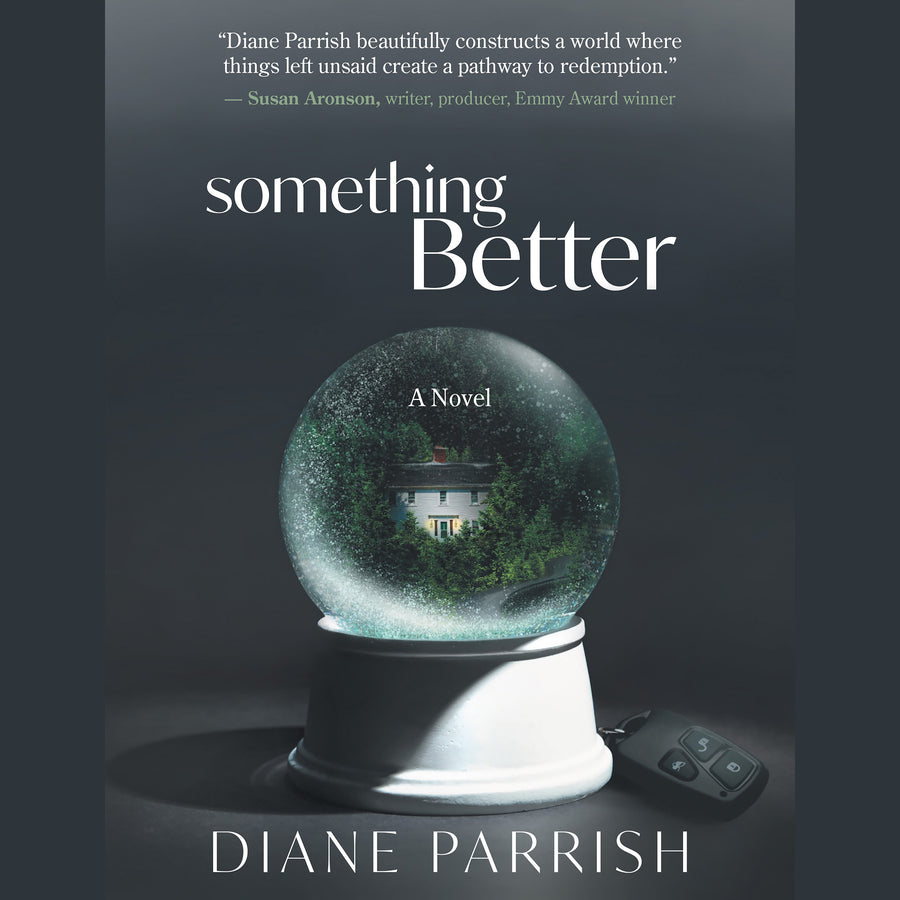 Something Better audiobook cover