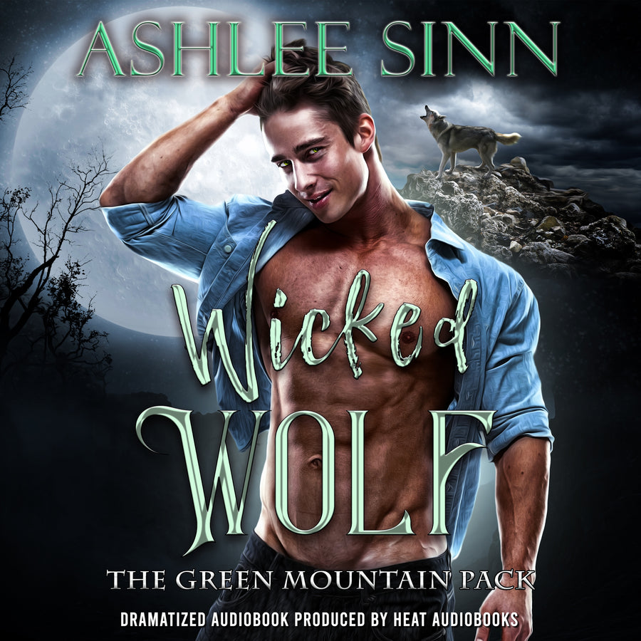 Wicked Wolf audiobook cover