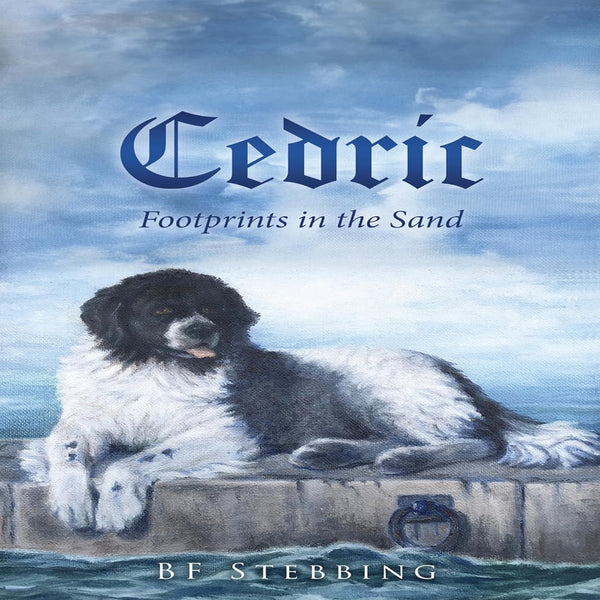 Cedric - Footprints in the Sand