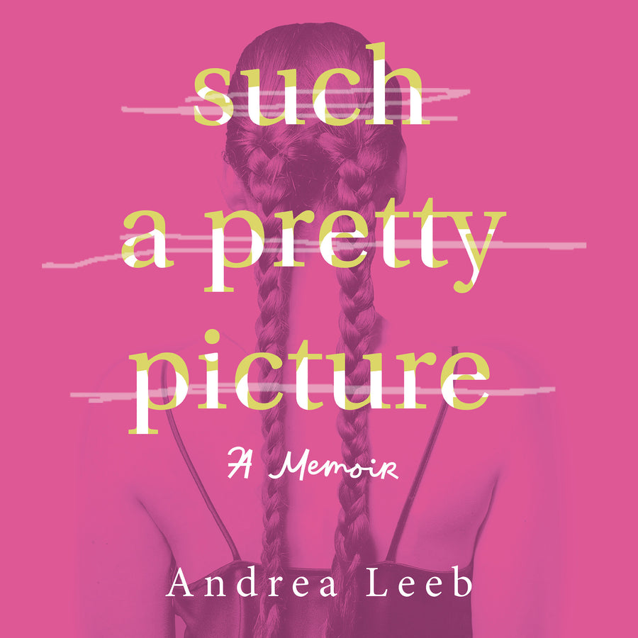 Such A Pretty Picture audiobook cover