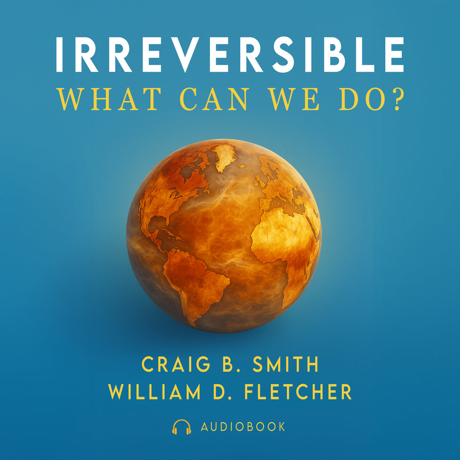 Irreversible: What Can We Do? audiobook cover