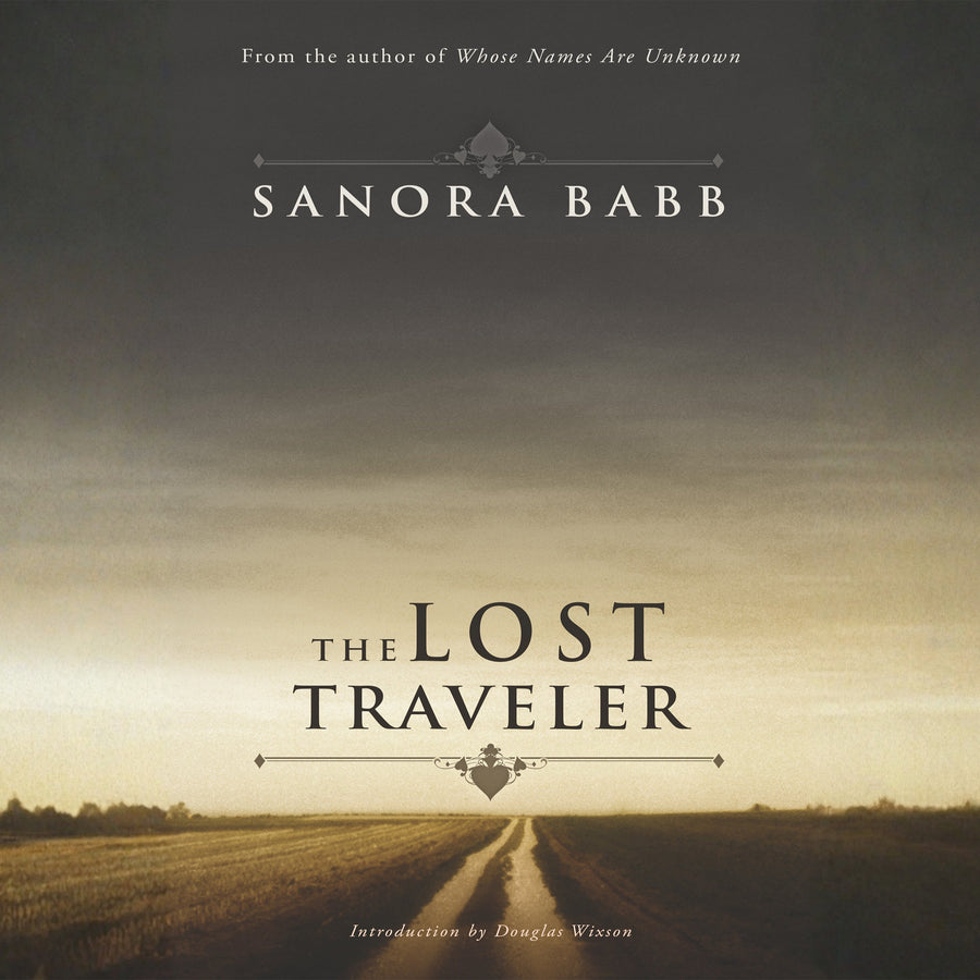 The Lost Traveler audiobook cover