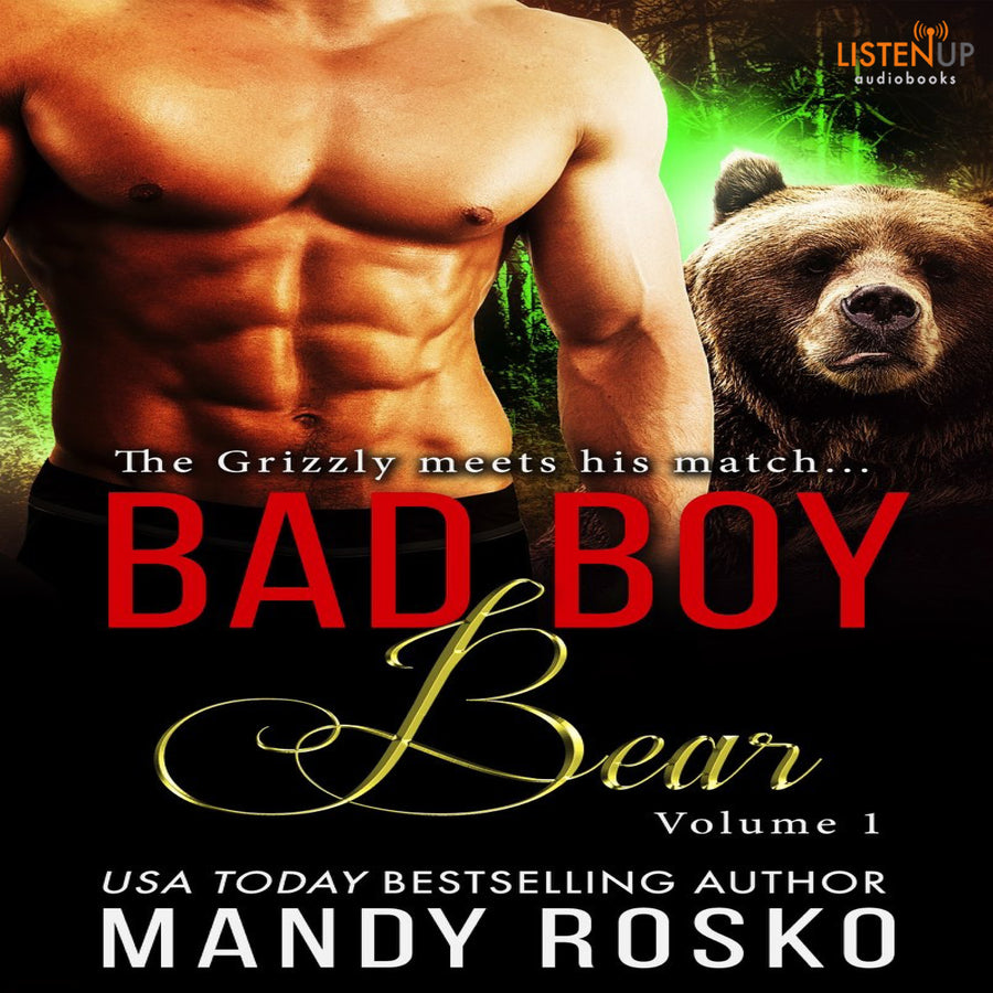 Bad Boy Bear, Vol 1 audiobook cover