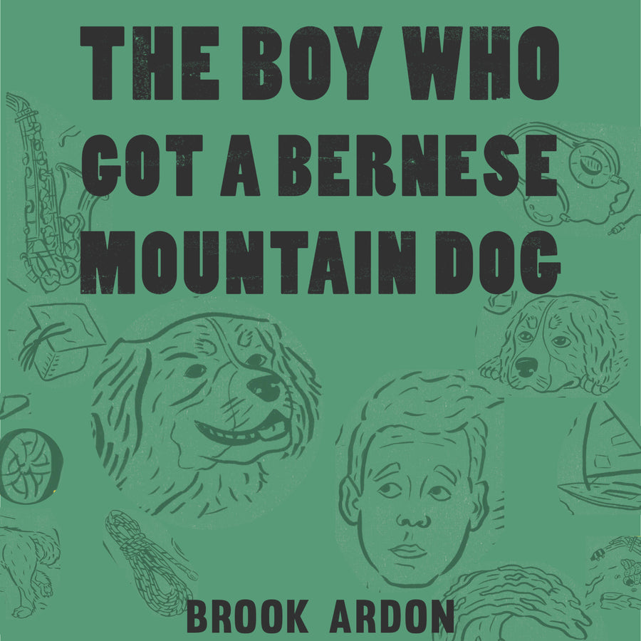 The Boy Who Got a Bernese Mountain Dog audiobook cover