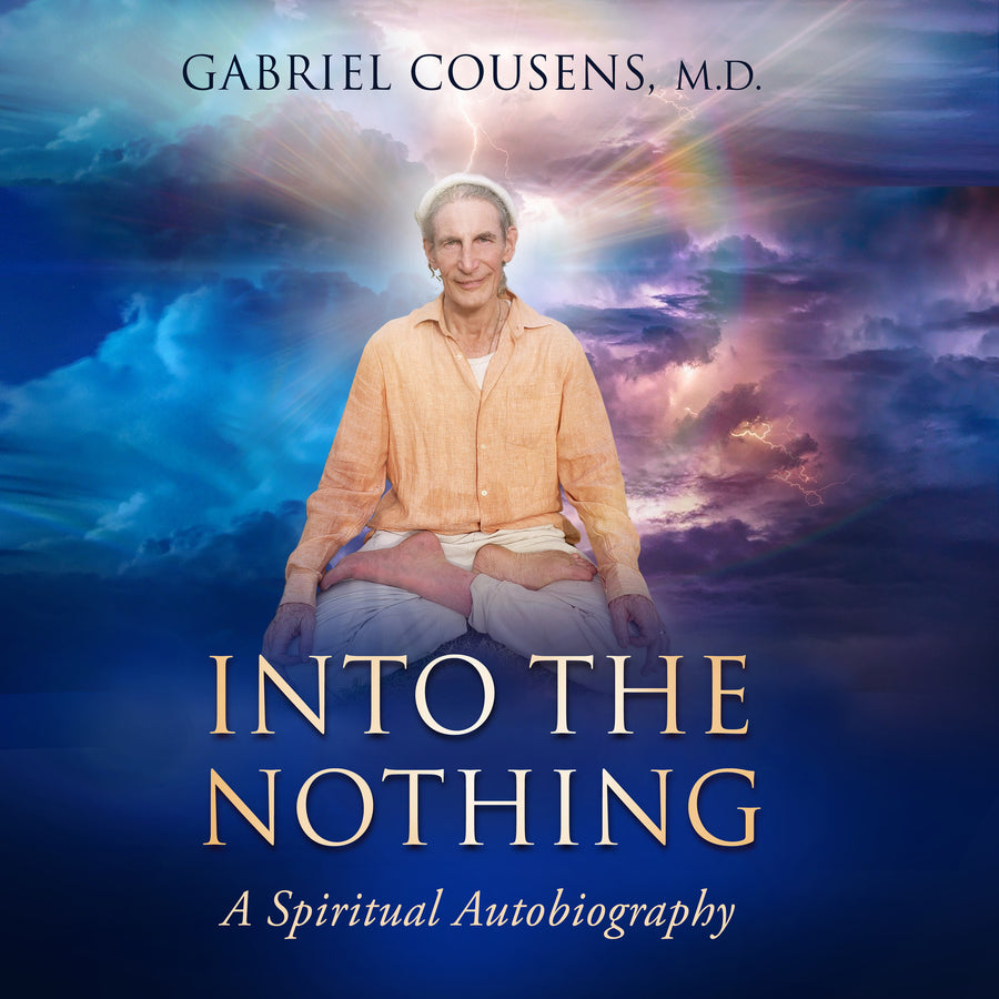 Into the Nothing audiobook cover