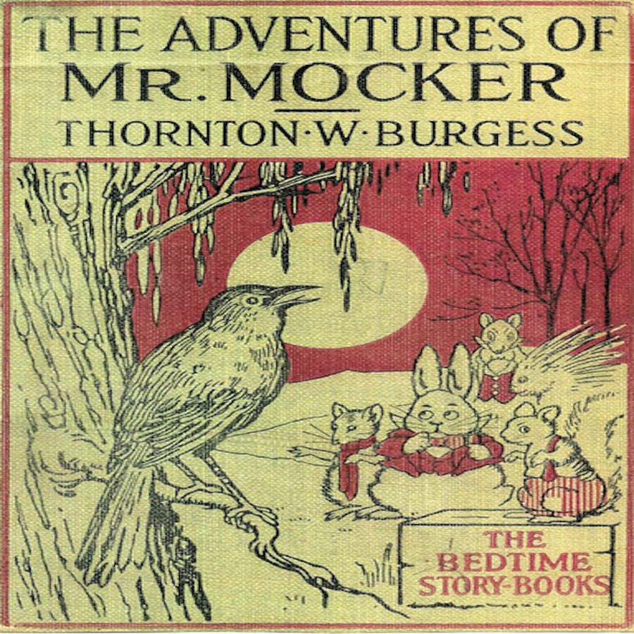 The Adventures of Mr. Mocker audiobook cover