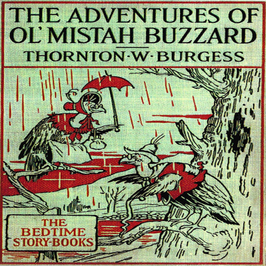 The Adventures of Old Mr. Buzzard audiobook cover