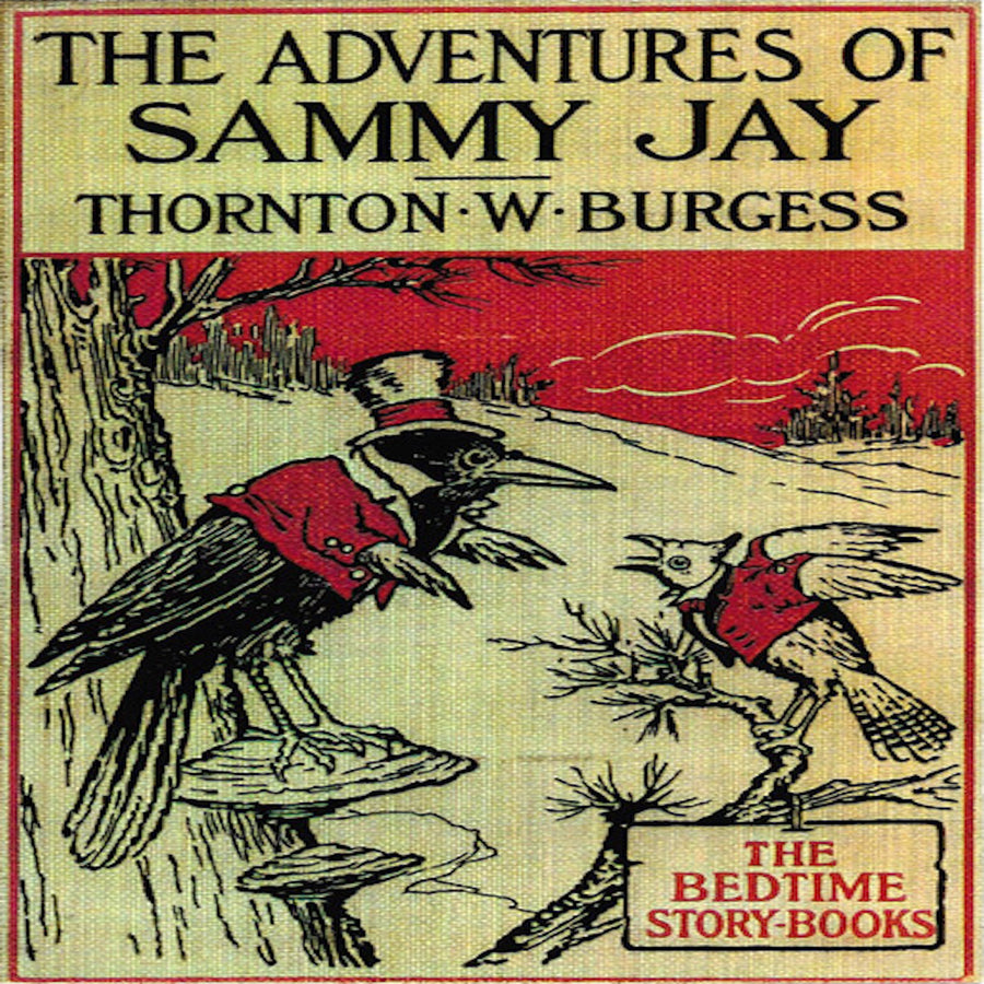 The Adventures of Sammy Jay audiobook cover