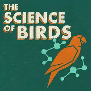 The Science of Birds	scienceofbirds.com